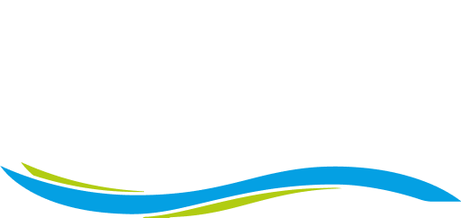 Shiny